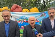مناسب بودن اجرای پروژه‌های زیرساختی در رامسر