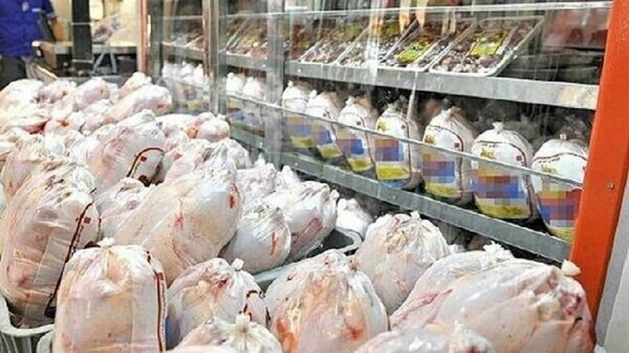 تامین و توزیع مرغ سراسر کشور از مازندران