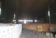 تأمین بذر گواهی‌شده خیال گندمکاران مازندرانی را آسوده کرد
